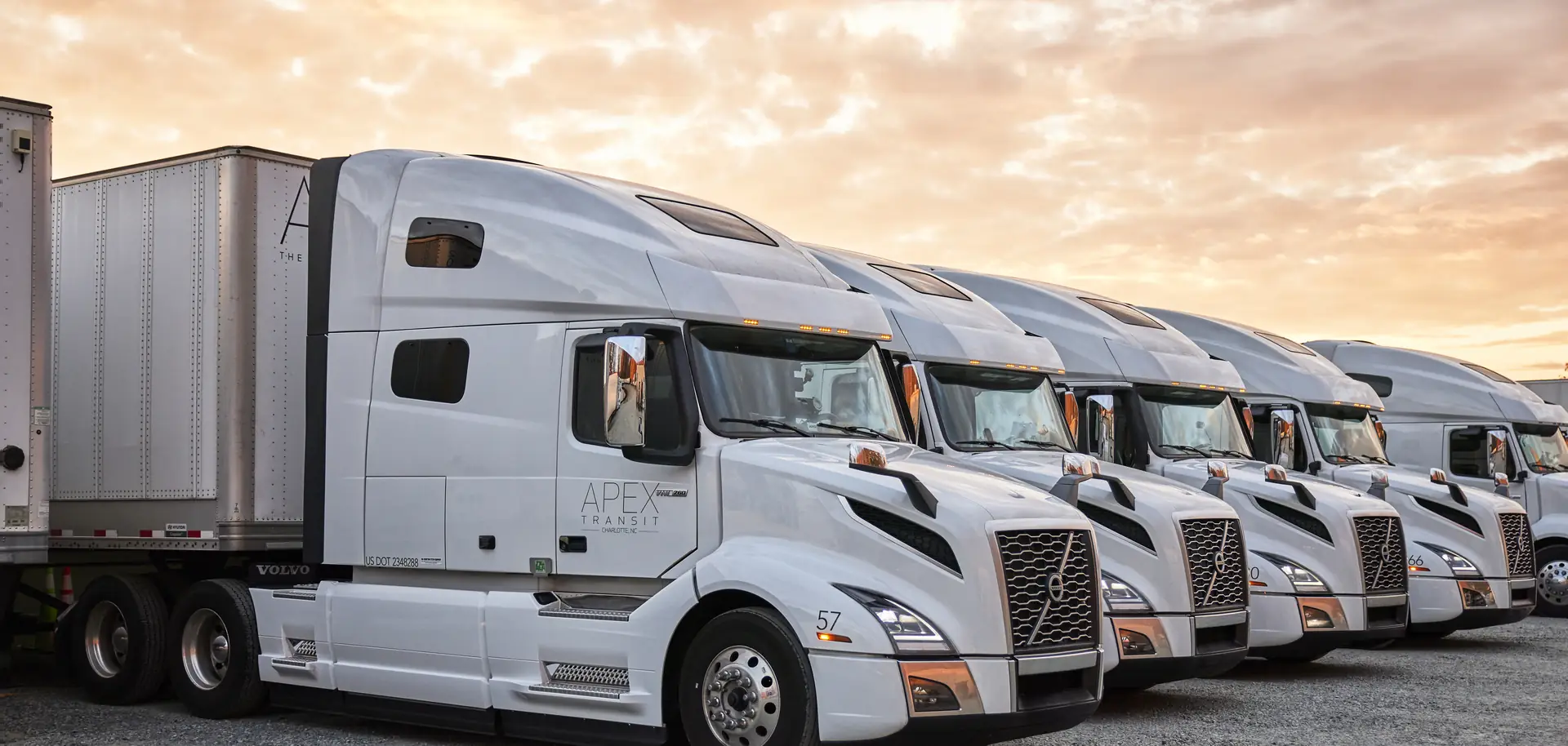 A row of white Apex Volvo trucks parked side by side under a sunset sky.