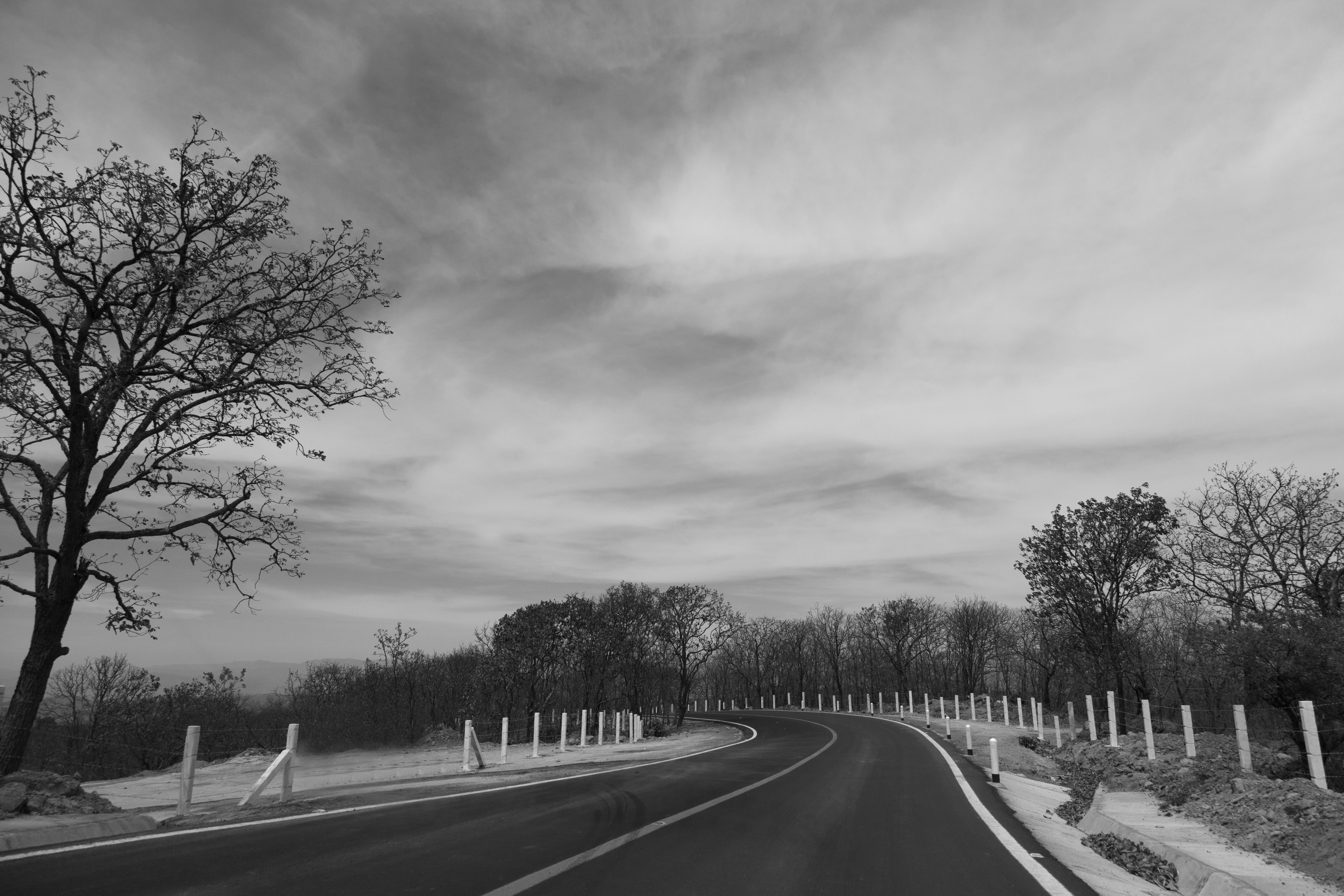 2025-05_road-highway-black-white-photo-176392535.jpg