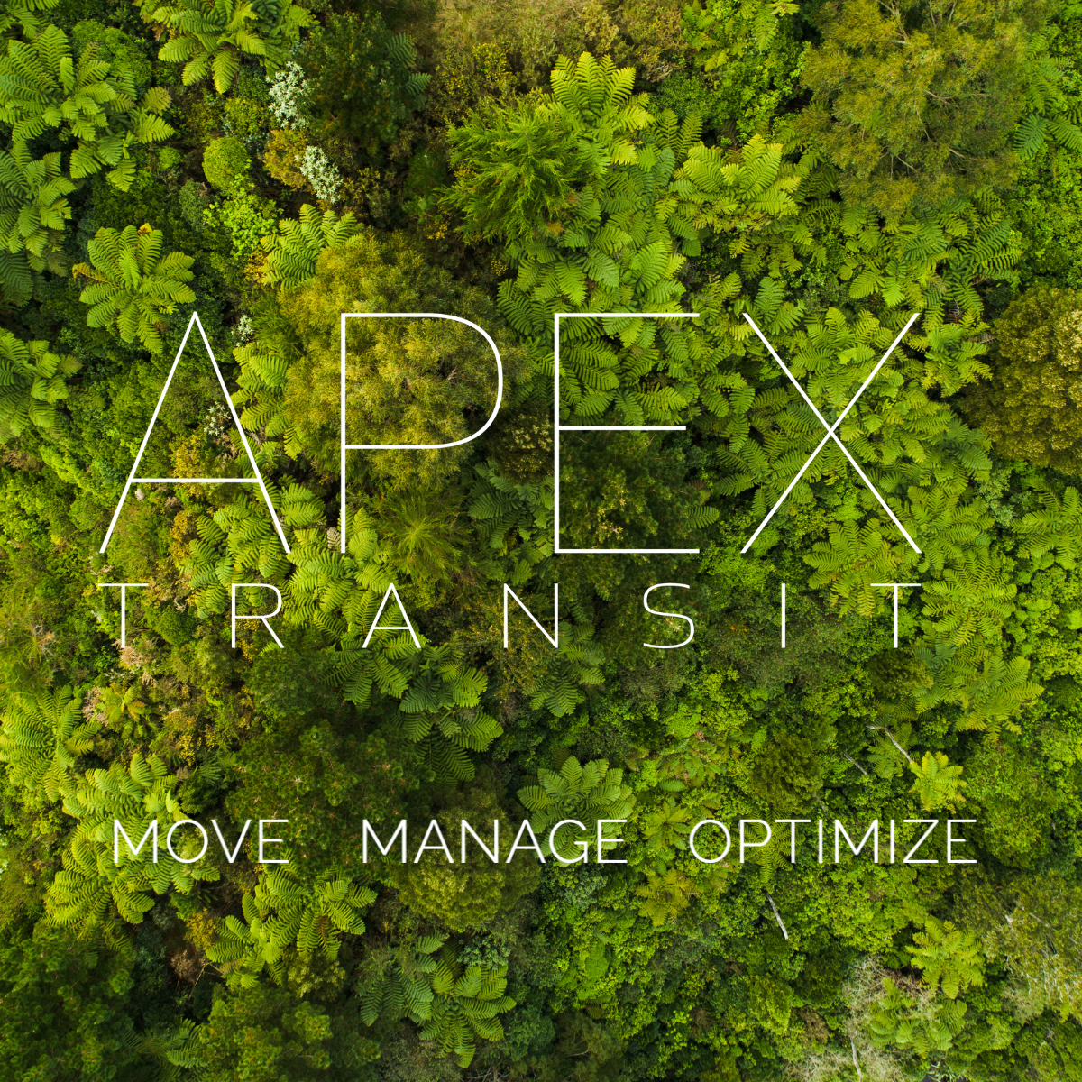 Powering Progress: APEX Transit’s Journey Towards Sustainable Logistics for a Greener Future